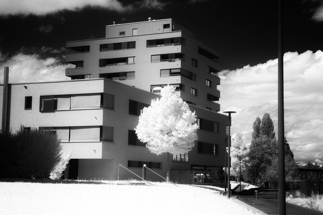 Monochrome IR