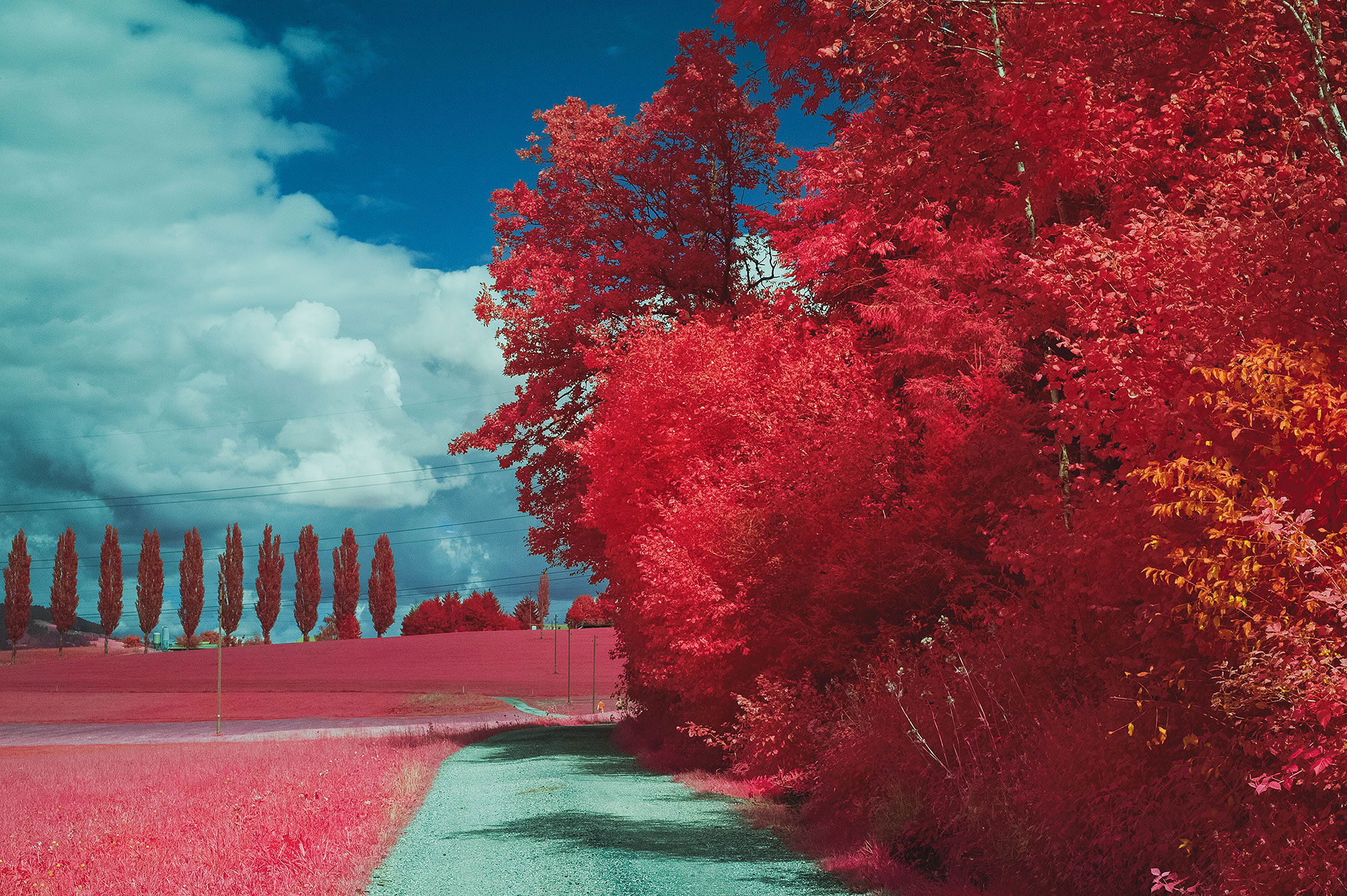 Aerochrome Filter