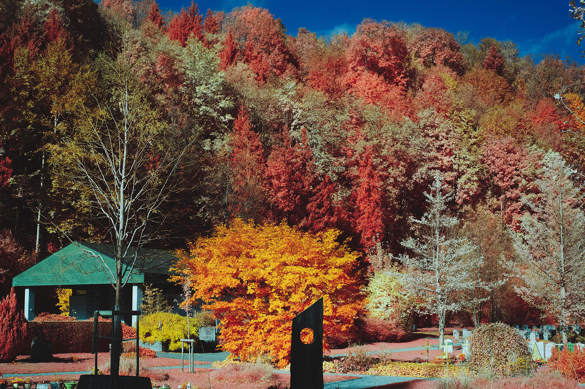 Nikon D700 Aerochrome