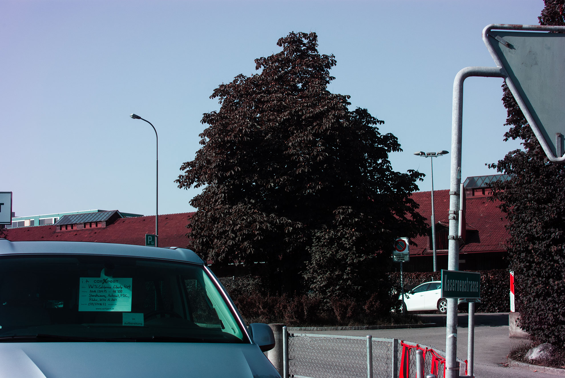 Black Trees