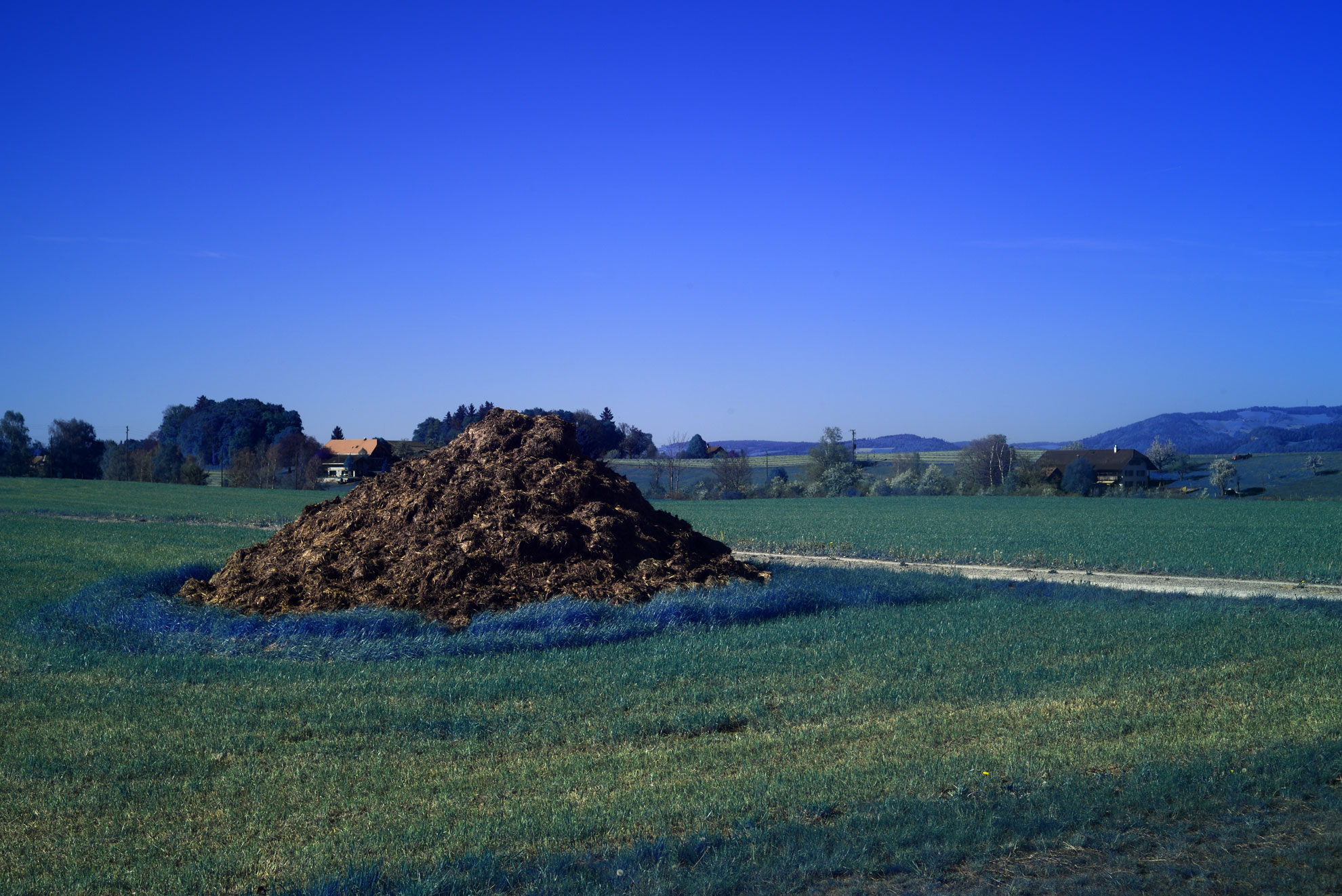 Moonlight Green Infrared