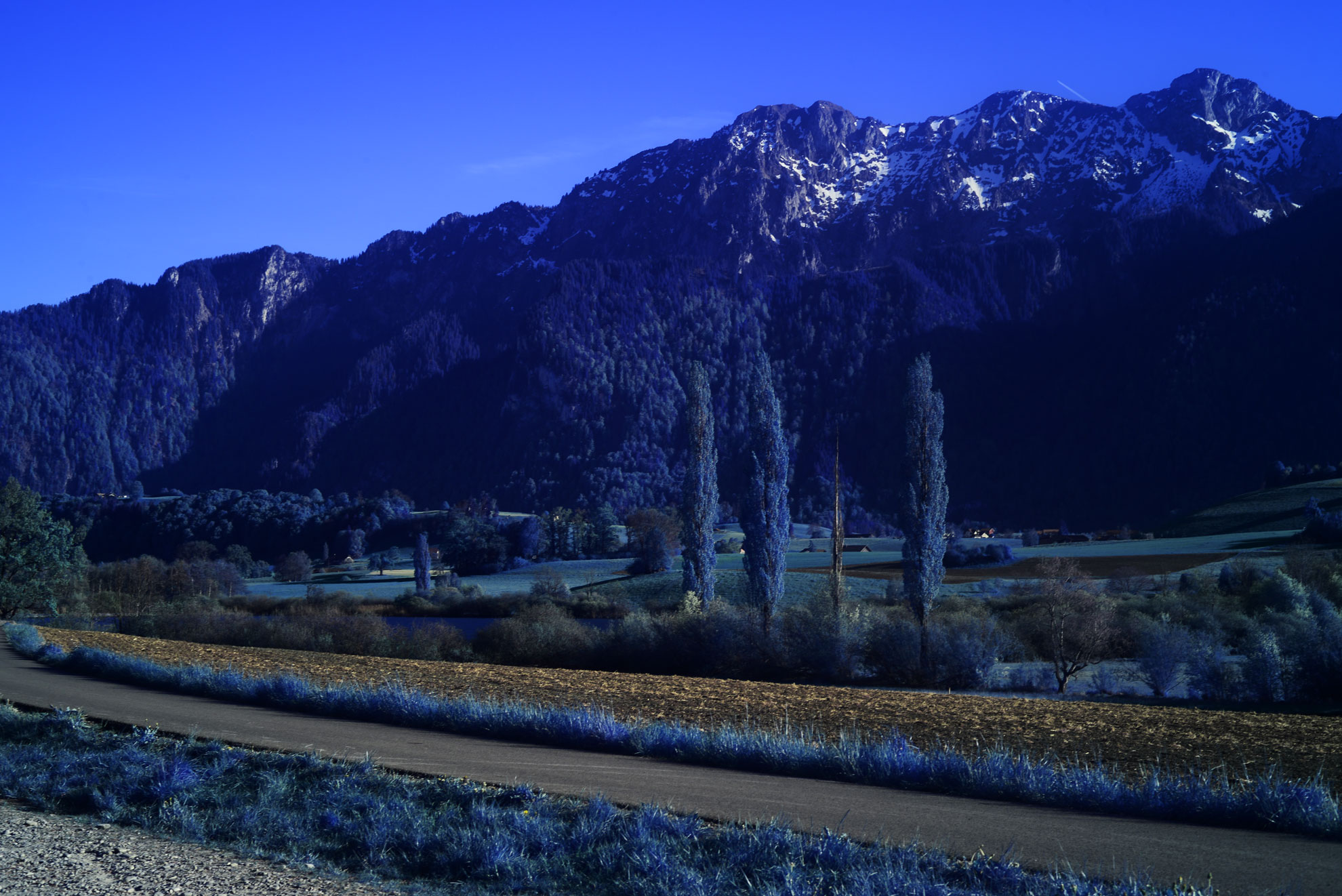 Moonlight Green Infrared