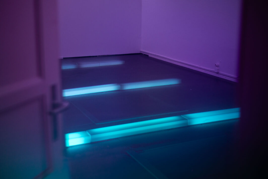 Notch experiments