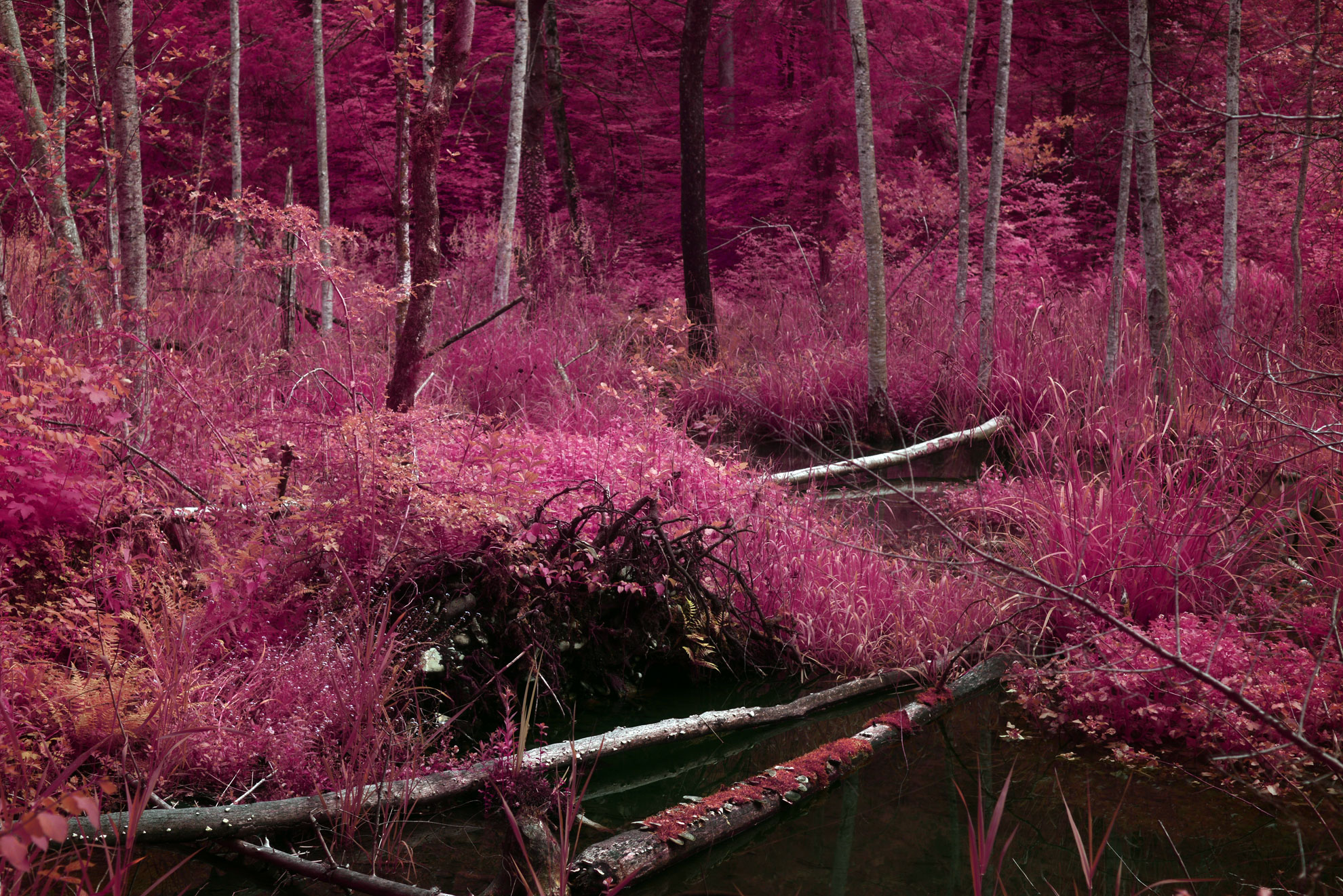 Pink tones
