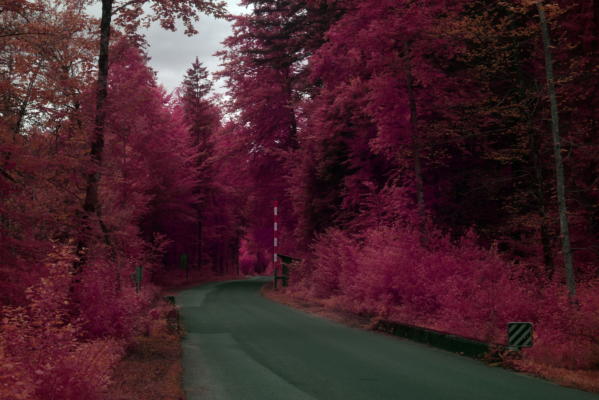 Pink tones