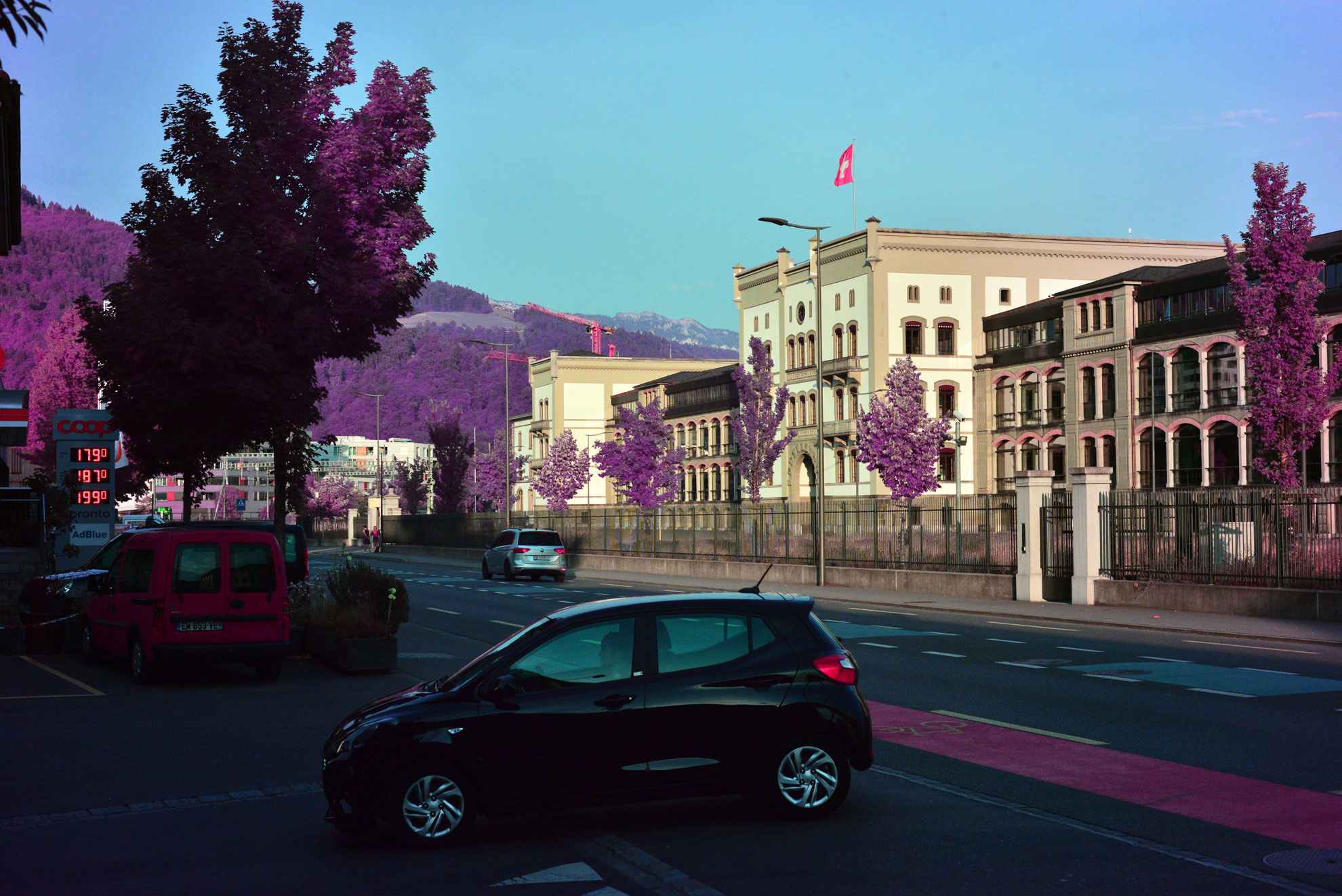 Purple Quad-band