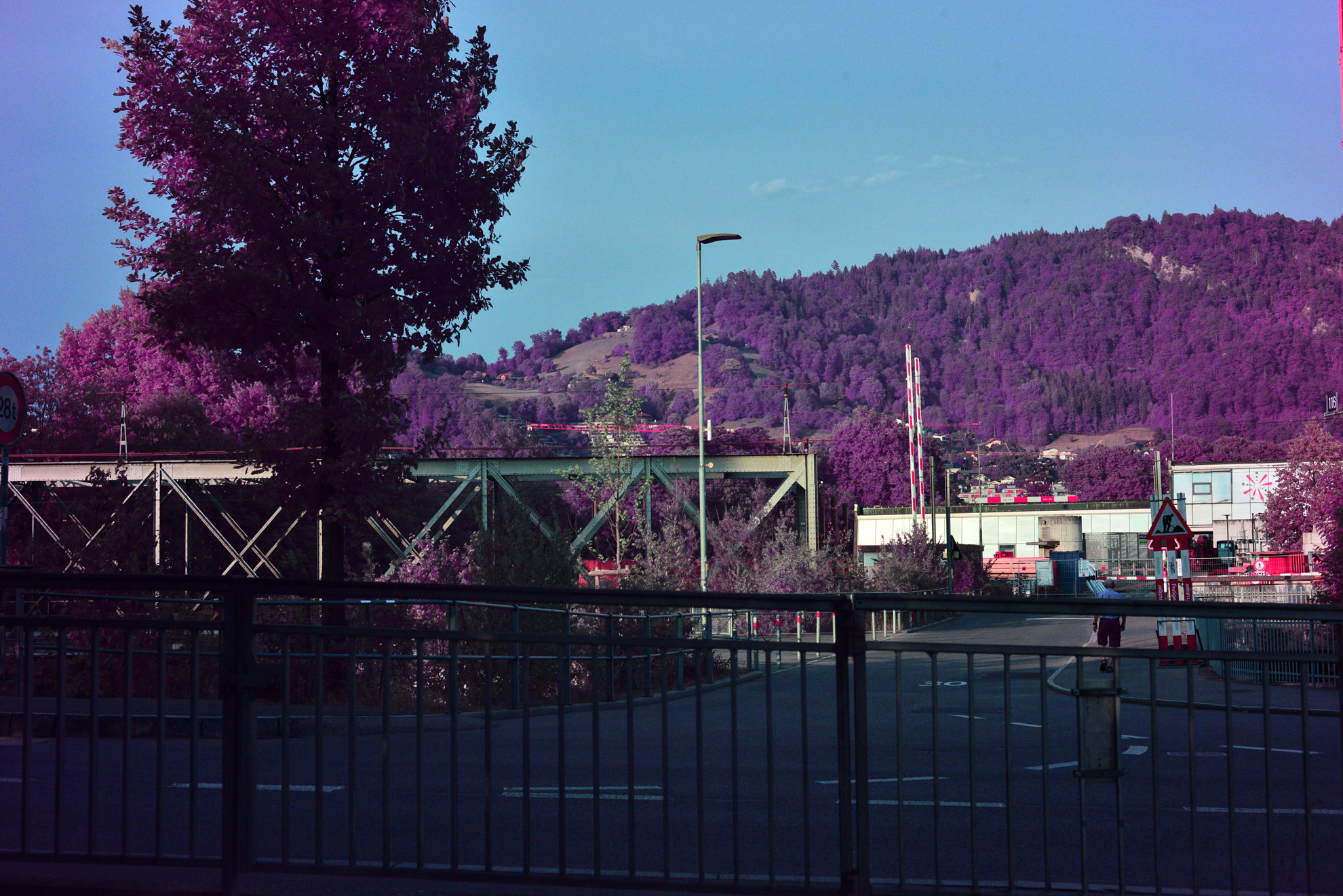 Purple Quad-band