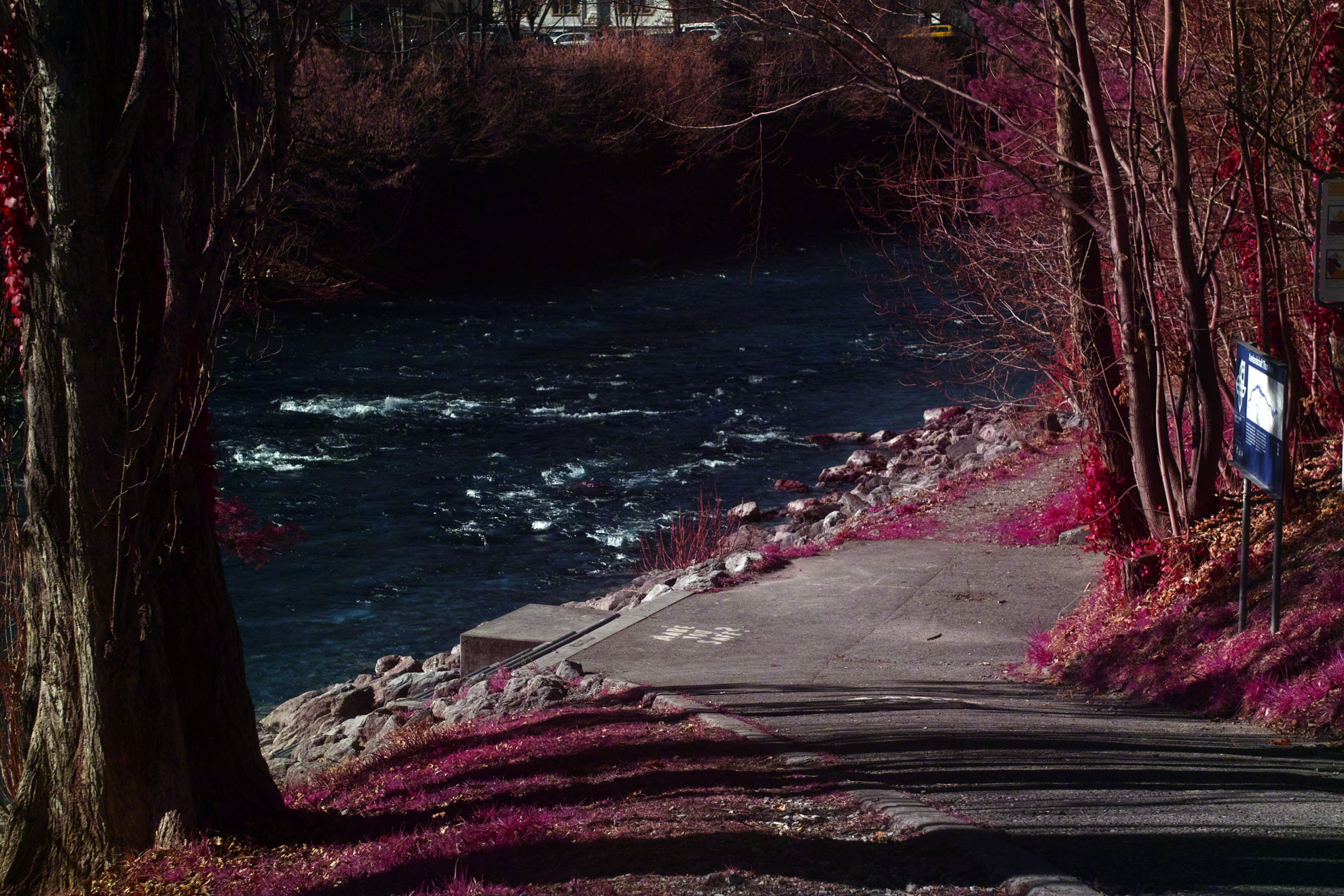 SD1 Aerochrome for Sale