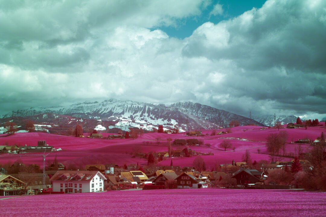 SD1 Aerochrome for Sale
