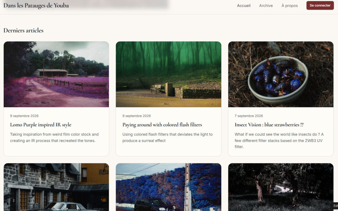Fedia's Youba blog