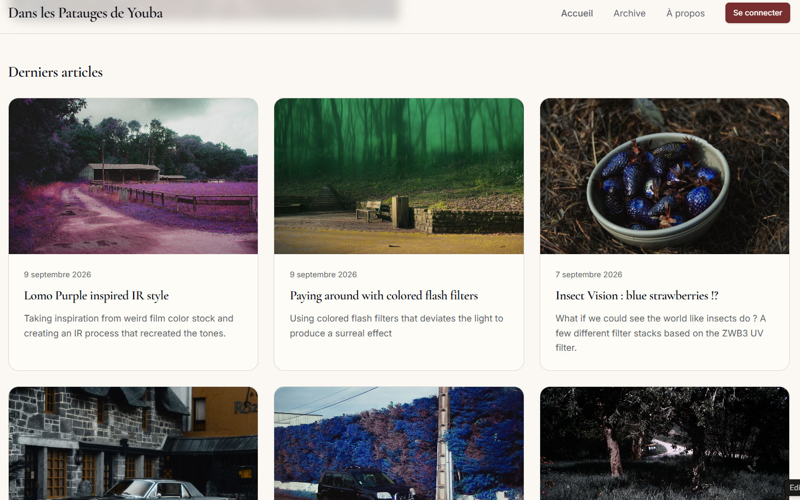 Fedia's Youba blog